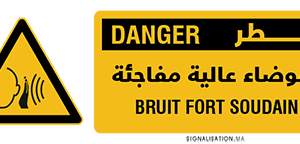 Danger bruit fort soudain