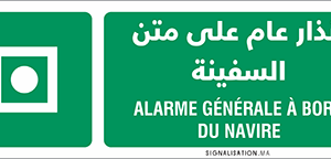Alarme générale à bord du navire