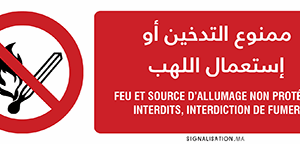 Feu et source d’allumage non protégée interdits / Interdiction de fumer