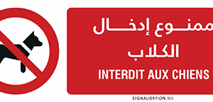 Interdit aux chiens