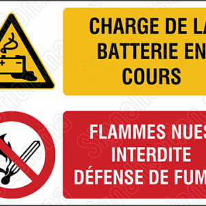 Charge de la batterie en cours - Flammes nues interdite - Défense de fumer